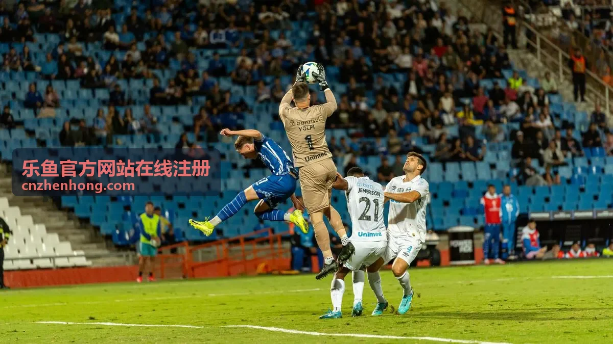 乐鱼官方网站在线注册动画电影寻梦奇遇